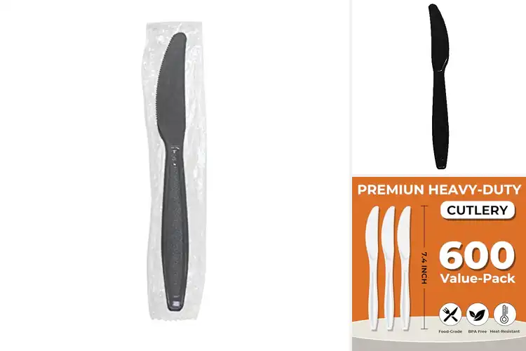 Detailed view of Best Bulk Disposable Knives For Concession Stands
