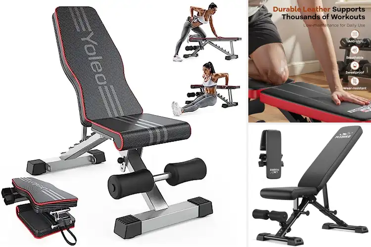 Detailed view of Best Comfortable Weight Benches