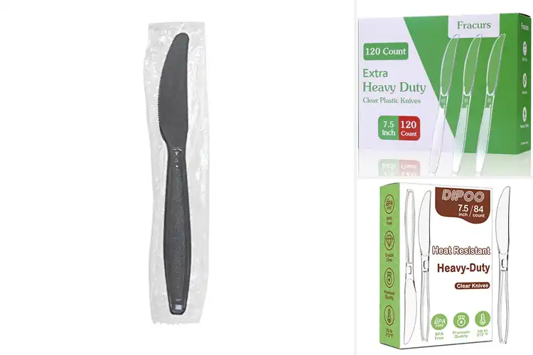 Detailed view of Best Concession Stand Disposable Knives