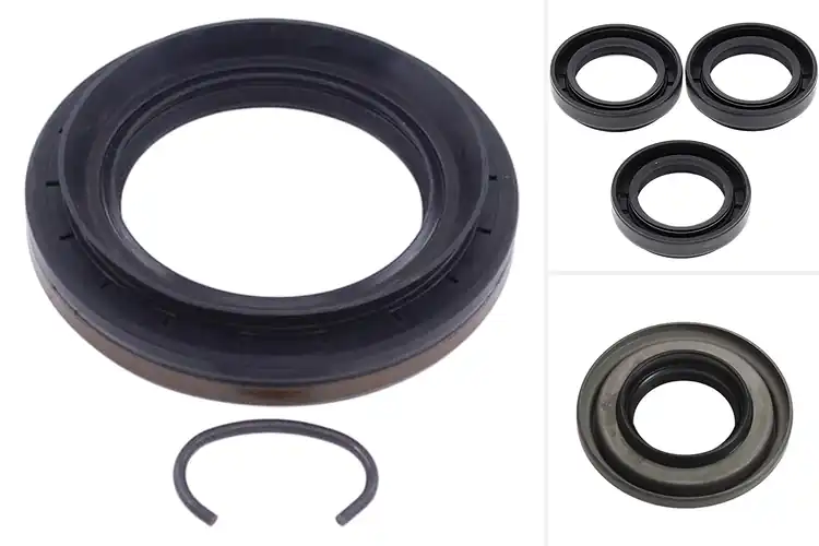 Detailed view of Best Differential Seals