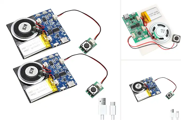 Detailed view of Best Diy Sound Modules