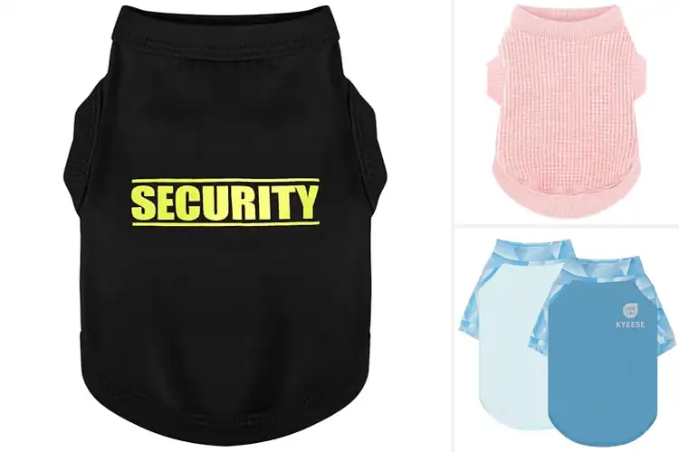 Detailed view of Best Dog Shirts