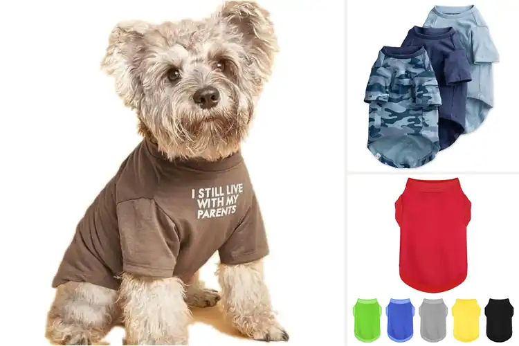 Detailed view of Best Dog T-Shirts: 10 Stylish & Comfy Picks for Your Pup