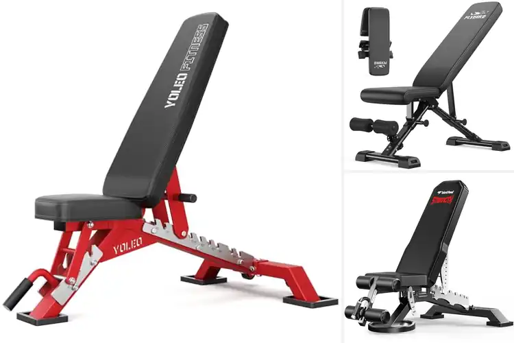 Detailed view of Best Heavy-Duty Weight Benches