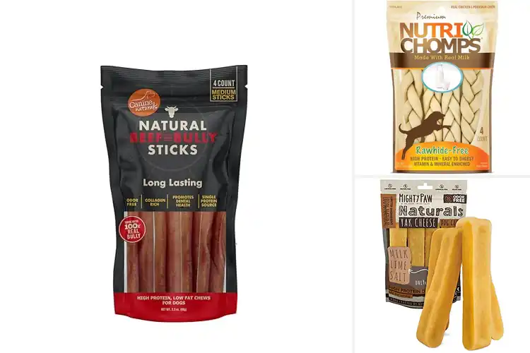 Detailed view of Best Long Lasting Chews