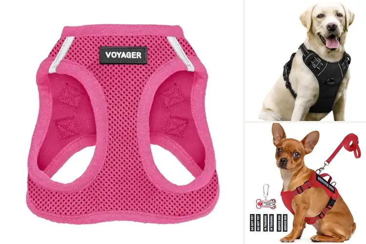 Detailed view of Best Pet Vests