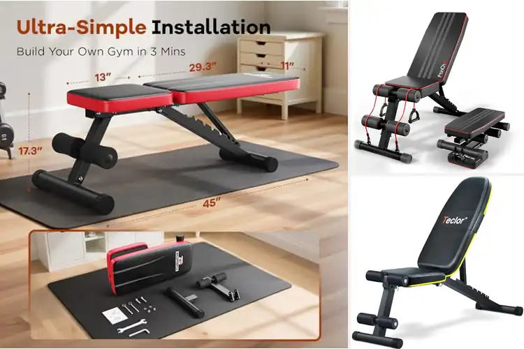 Detailed view of Best Portable Workout Benches