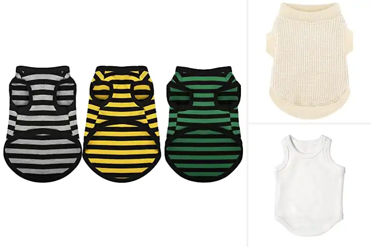 Detailed view of Best Puppy Tank Tops