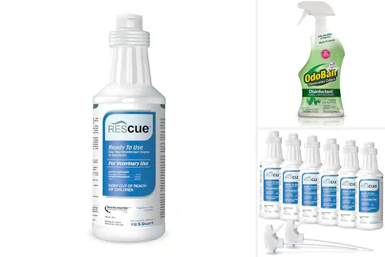 Detailed view of Best Ready-To-Use Disinfectants: Top 10 Germ-Free Solutions