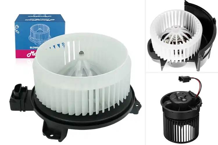 Detailed view of Best Replacement Blower Motors