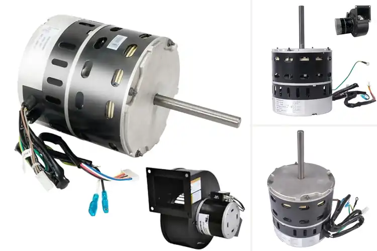 Detailed view of Best Replacement ZWK702B5388701 Motors