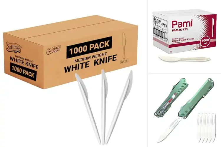 Detailed view of Best Take-Out Knives: Elevate Your Dining with Top Picks