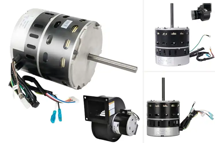 Detailed view of Best ZWK702B5388701 Replacement Motors